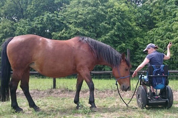 Blumil bądź aktywny